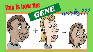 Heredity Inheritance and Variation Grade 9 Genetic Terms [upl. by Mady]