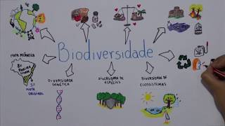 Biodiversidade [upl. by Eadas]