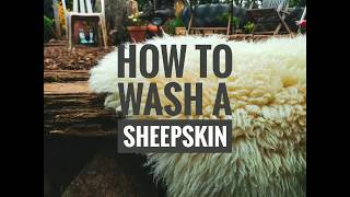 How to Wash a Sheepskin [upl. by Sorenson]