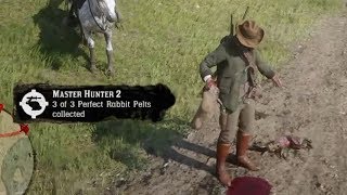 How To Get Perfect Rabbit Pelts  Red Dead Redemption 2 [upl. by Benjamin]