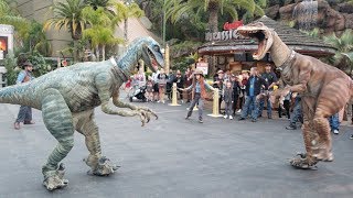 Attack of the Raptors at Universal Studios Hollywood for JurassicPark25 event [upl. by Akiehs]