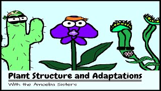 OLD VIDEO Plant Structure and Adaptations [upl. by Bonnette631]