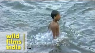 Children splashing around in a river in Kerala [upl. by Lothario820]