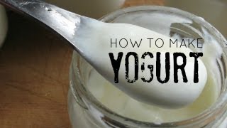 How to Make Homemade Yogurt [upl. by Jehoash]