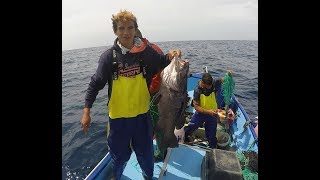 Fishing video Pesca Açores Fishing Longline Pesca de Palangre de fundo [upl. by Louisa236]