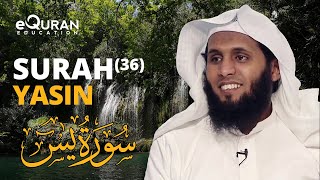 Surah Yasin سورة يس  Sheikh Mansour Al Salimi  eQuran Education [upl. by Tessa427]