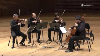 Franz Schubert String Quintet in C Major D 956 [upl. by Anifled]