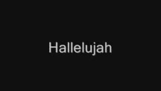 John Cale  Hallelujah Lyrics best version [upl. by Kalina]