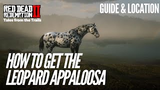 Red Dead Redemption 2 How to get the Leopard Appaloosa  Guide amp Location [upl. by Gentille]