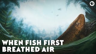 When Fish First Breathed Air [upl. by Miquela796]