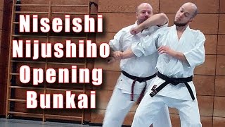 Practical Kata Bunkai Niseishi  Nijushiho Opening Sequence [upl. by Audi]