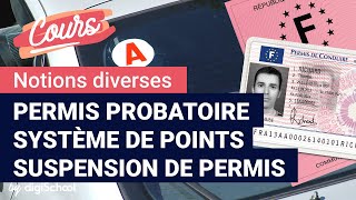 Permis probatoire système de points et suspension de permis [upl. by Aihsenet726]