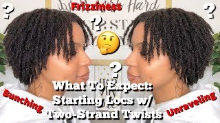 Must Watch What to Expect Starting Locs w TwoStrand Twists [upl. by Atonsah124]