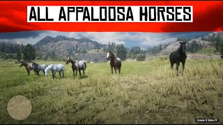 Red Dead Redemption 2  All Appaloosa horses [upl. by Areek]