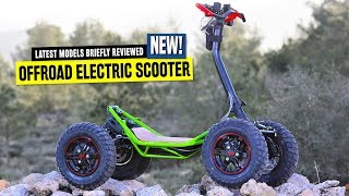 Top 8 Electric Scooters Ranked by Pricing and OffRoad Capabilities in 2020 [upl. by Seltzer]