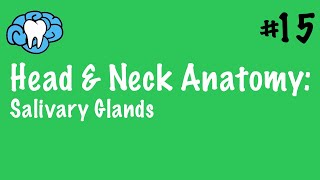 Head amp Neck Anatomy  Salivary Glands  INBDE [upl. by Eppesiug]