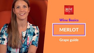 Wine Basics Merlot Grape Variety Masterclass [upl. by Salomo]