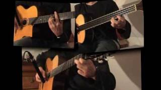 Minor Swing  Django Reinhardt [upl. by Nesmat927]