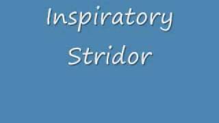 Inspiratory Stridor [upl. by Ynamrej]