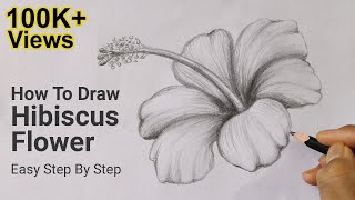 How To Draw Hibiscus Flower Easy Step By Step  Drawing Lesson 6  Pencil Sketch [upl. by Anaicilef218]