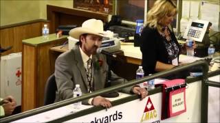 The Best Auctioneer  Rhett Parks [upl. by Leff692]