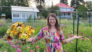 Cut Flower Farm Tour  Dahlia and Zinnia Abundance [upl. by Renzo]