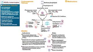 NSAIDS amp ACETAMINOPHEN [upl. by Enniroc]