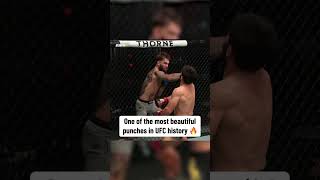 This KO from Cody Garbrandt 👀 [upl. by Eiba]