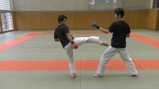 【KARATE TUTORIAL】Kumite Tactics Against Bigger Opponents [upl. by Leirad485]