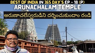 Arunachalam temple full tour in telugu  Tiruvannamalai  Arunachalam temple information  Tamilnadu [upl. by Zetnahs378]