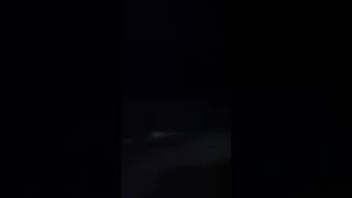 Coyotes Howling at Night Socializing Sounds and Coyote Noise [upl. by Itsrejk893]