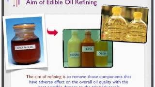 Palm Oil Refining Part 1 [upl. by Trebuh818]