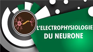 Electrophysiologie Du Neurone  INSEN Academy [upl. by Slinkman]