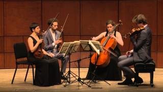 Beethoven String Quartet Op 132 in A Minor  Ariel Quartet full [upl. by Eednac]