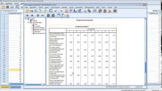 Explorative Faktorenanalyse mit SPSS [upl. by Glavin]