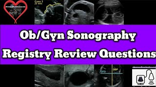 ObGyn Sonography Registry Review [upl. by Ydner271]