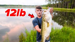 Catching My BIGGEST Bass EVER  12lber Bank Fishing [upl. by Barn]