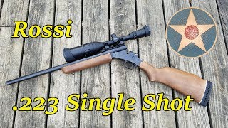 Rossi 223 Single Shot Rifle First Impressions Review [upl. by Baudelaire207]