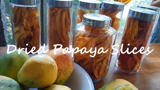 Dried Papayas from my Garden  Raw Vegan Snack [upl. by Asli]