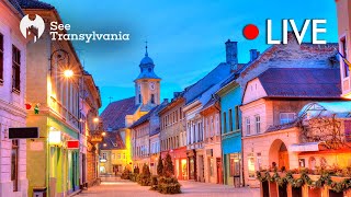 Michael Weiss Street Brasov  Pilvax Restaurant  🔴 Live Webcam [upl. by Lemhaj]