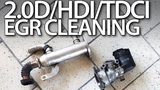 20HDi 20TDCi 20D EGR valve cleaning [upl. by Onifled]