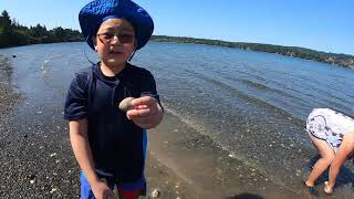 Clam Digging on Vancouver Island [upl. by Hirai]