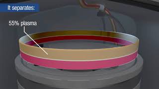 Reveos Automated Blood Processing System How it works [upl. by Robbi]