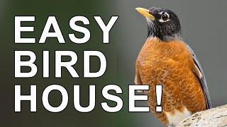 The Easiest Birdhouse You Can Build  The Ledge Nest Bird House [upl. by Primrose]