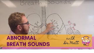 Abnormal Breath Sounds  Respiratory System [upl. by Viridis]