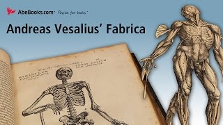 Andreas Vesalius De Humani Corporis Fabrica On The Fabric of the Human Body or The Fabrica [upl. by Snapp]