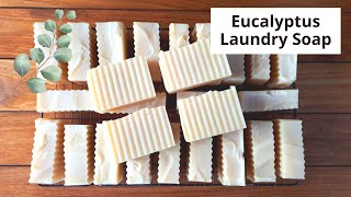 Eucalyptus Laundry Soap with Coconut and Rice Bran Oils full demonstration and lather test [upl. by Ocicnarf]