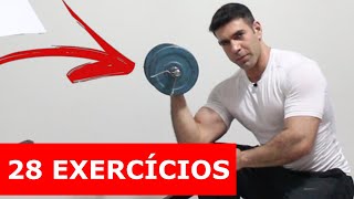 28 Exercícios com apenas 2 halteres treino em casa [upl. by Esch884]