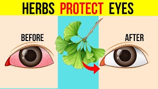 6 Herbs That PROTECT Eyes and REPAIR Vision [upl. by Eixam]