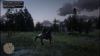 Red Dead Redemption 2 Wild Appaloosa Location [upl. by Ayocat]